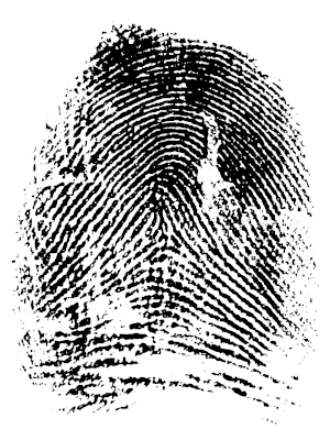 Throwing the Baby Out with the Bath Water