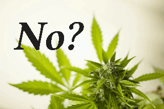 Small Steps Toward Justice